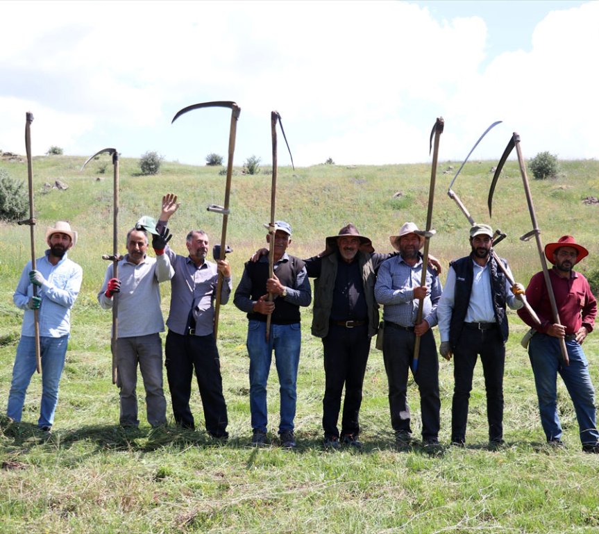 Geleneksel tırpanlarıyla bir araya gelen çiftçiler, yıllardır sürdürdükleri ot biçme kültürünü yaşatıyor.