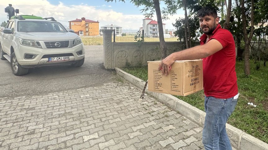 ağrı yaralı kedi kurtarıldı 2