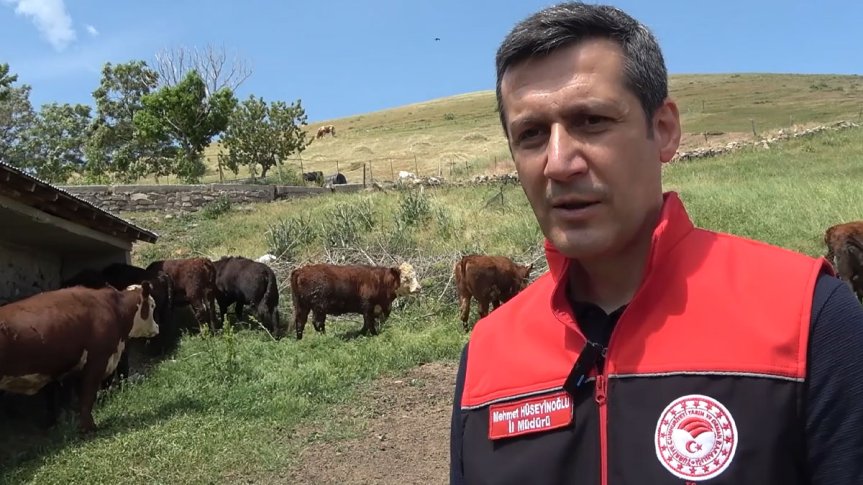 Ağrı Tarım ve Orman İl Müdürü Mehmet Hüseyinoğlu, damızlık düve desteği hedeflerini anlattı.