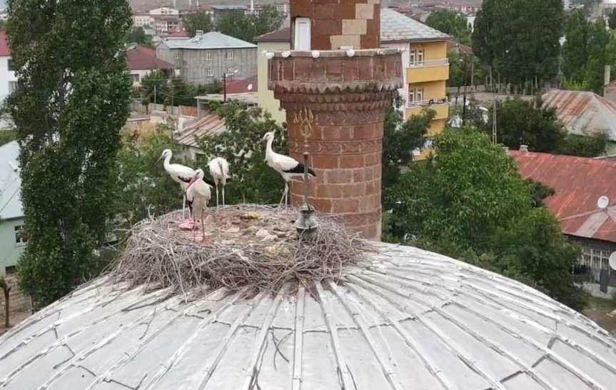 Kiptaş Camisi kubbesindeki leylek yuvası, yıllardır Çay Mahallesi'nin en dikkat çekici görüntülerinden biri.
