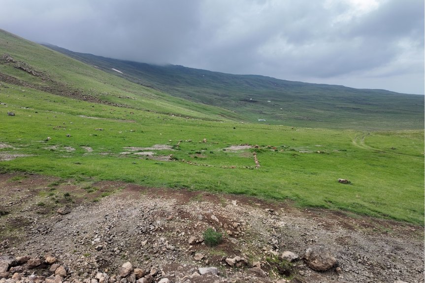 Tendürek Dağı eteklerindeki yemyeşil yaylalar, bulutlu gökyüzüyle huzurlu bir doğa manzarası sunuyor.