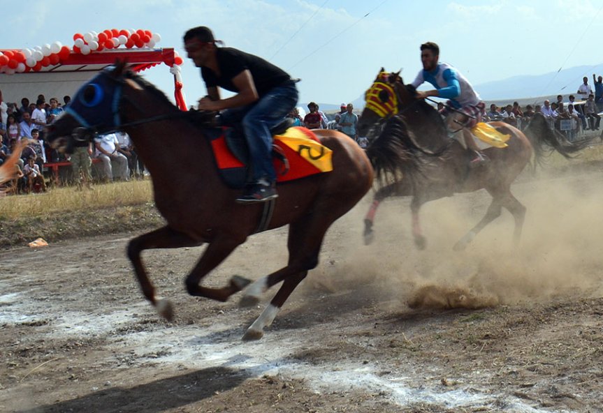 Ağrı Mahalli at yarışları