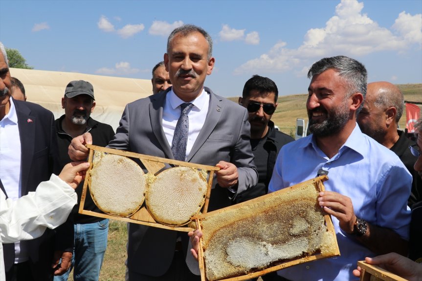 Ağrı'nın zengin florasında üretilen coğrafi işaretli geven balının dolu petekleri Çakıroba köyünde hasat edildi.