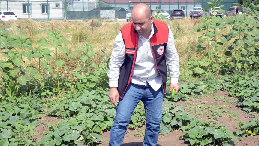 hakan varol ağrı