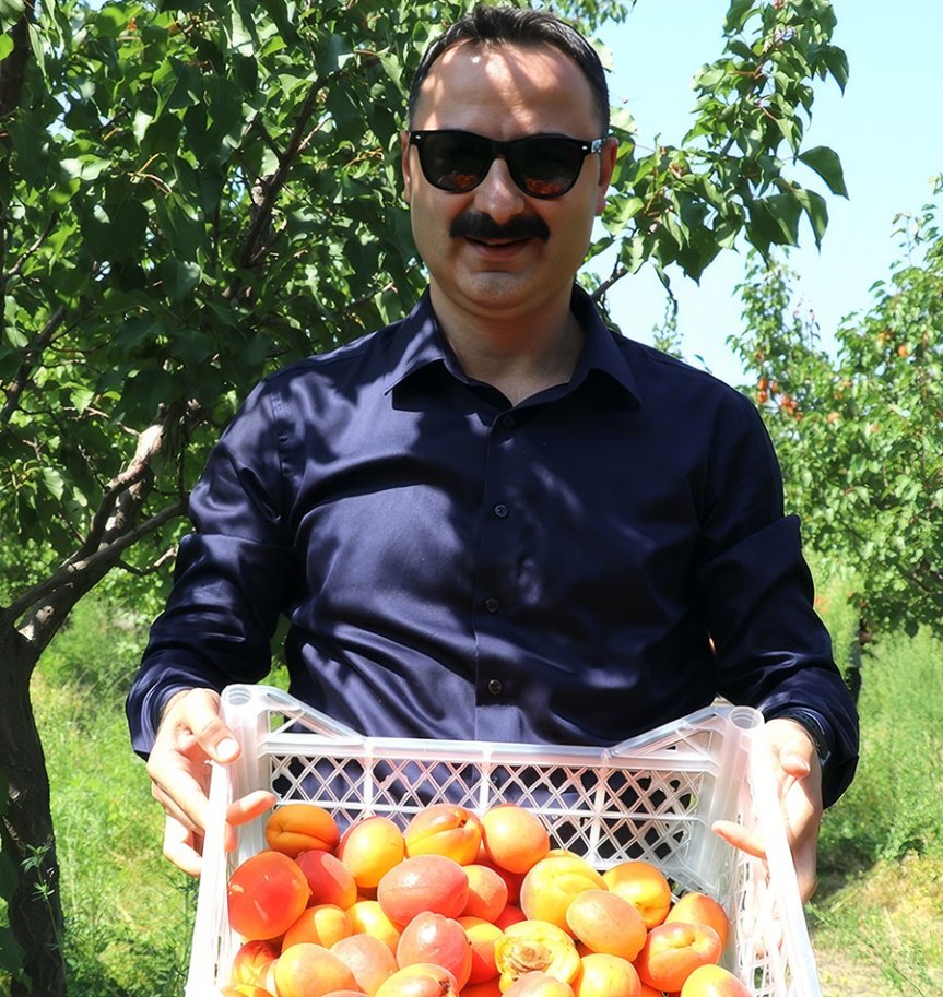 Doğubayazıt kaymakamı Mustafa Ayvat Ağrı Dağı'nın yakınlarındaki çorak araziye kurulan bahçede meyve hasadı yaptı