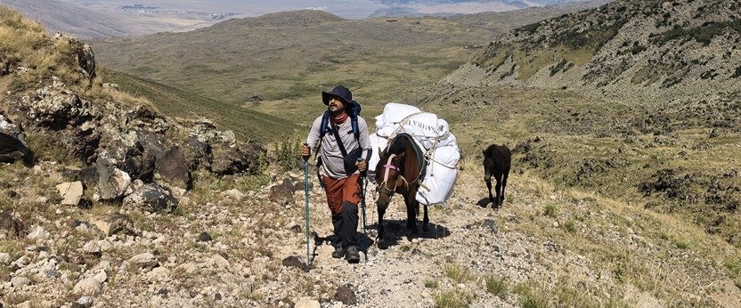 Ağrı Dağı rotasında yük taşıyan katırla birlikte yüksek irtifaya çıkan dağ görevlisi